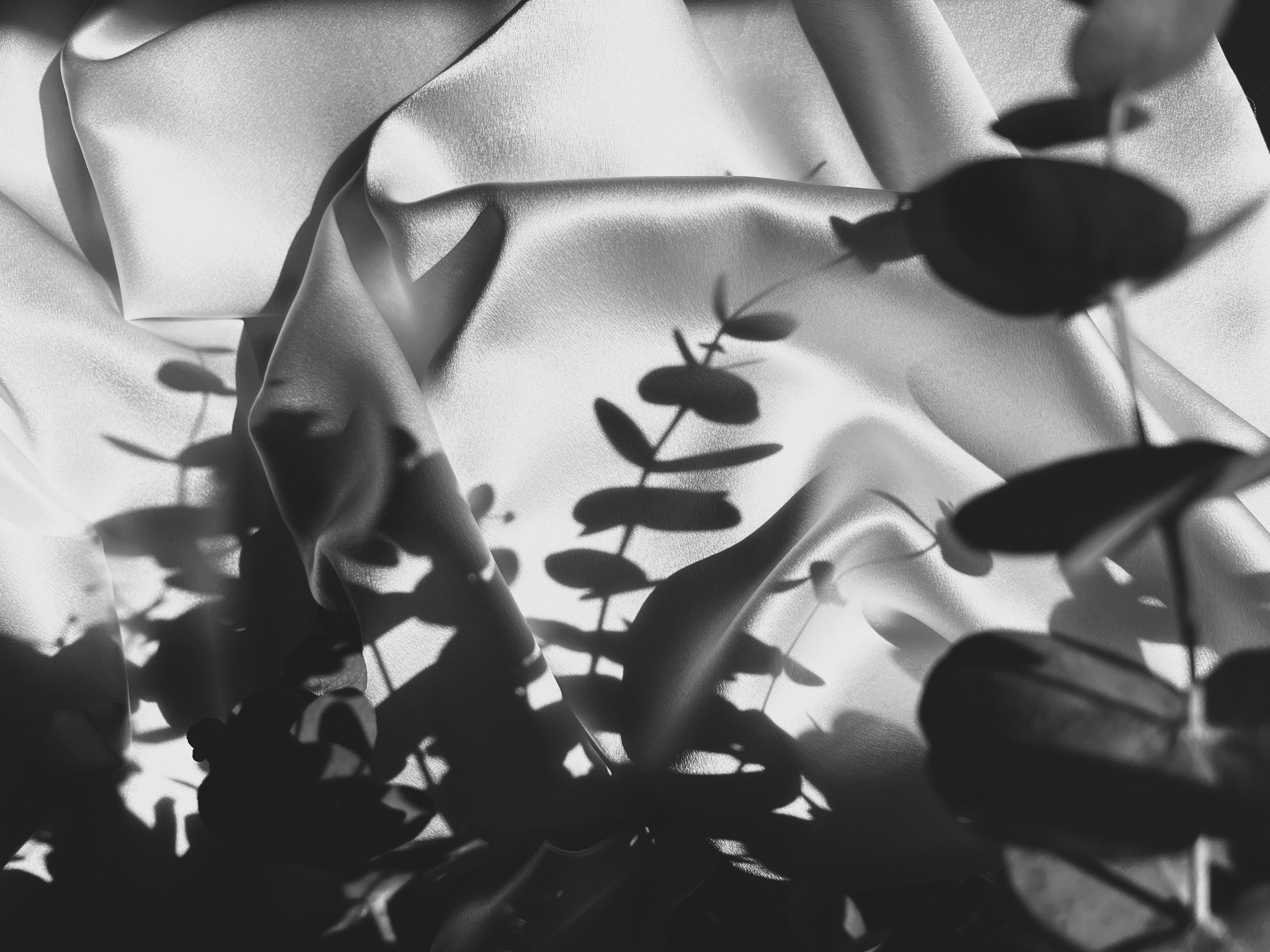 North of Forty by Copper North