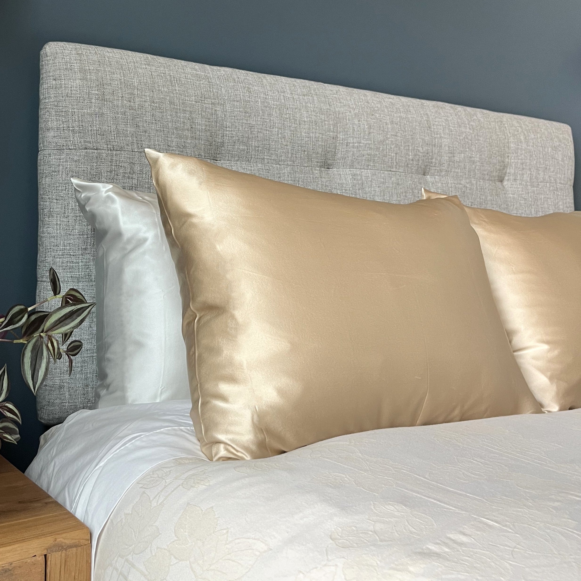 Gold, King Sized, 1 Case