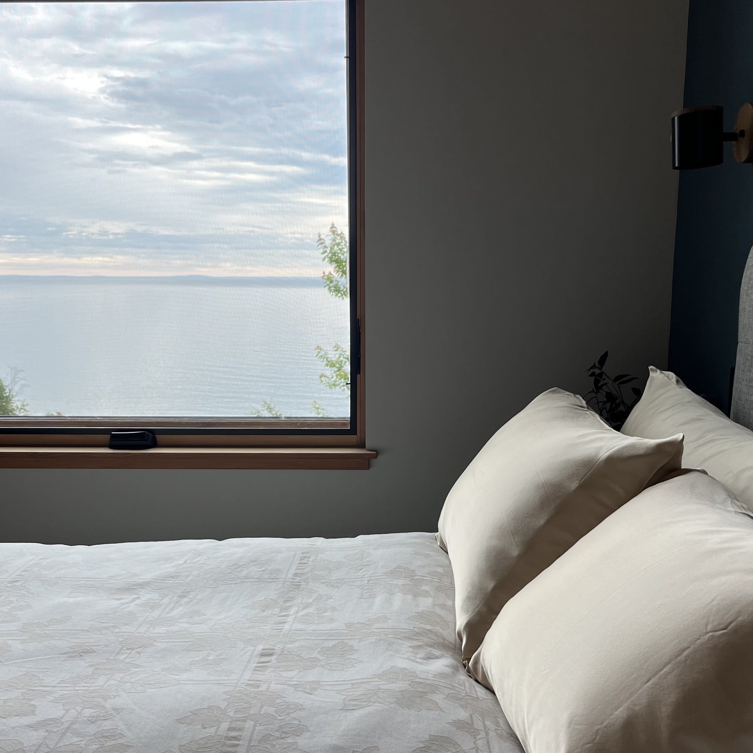 Gold, Standard Sized, 2 Cases