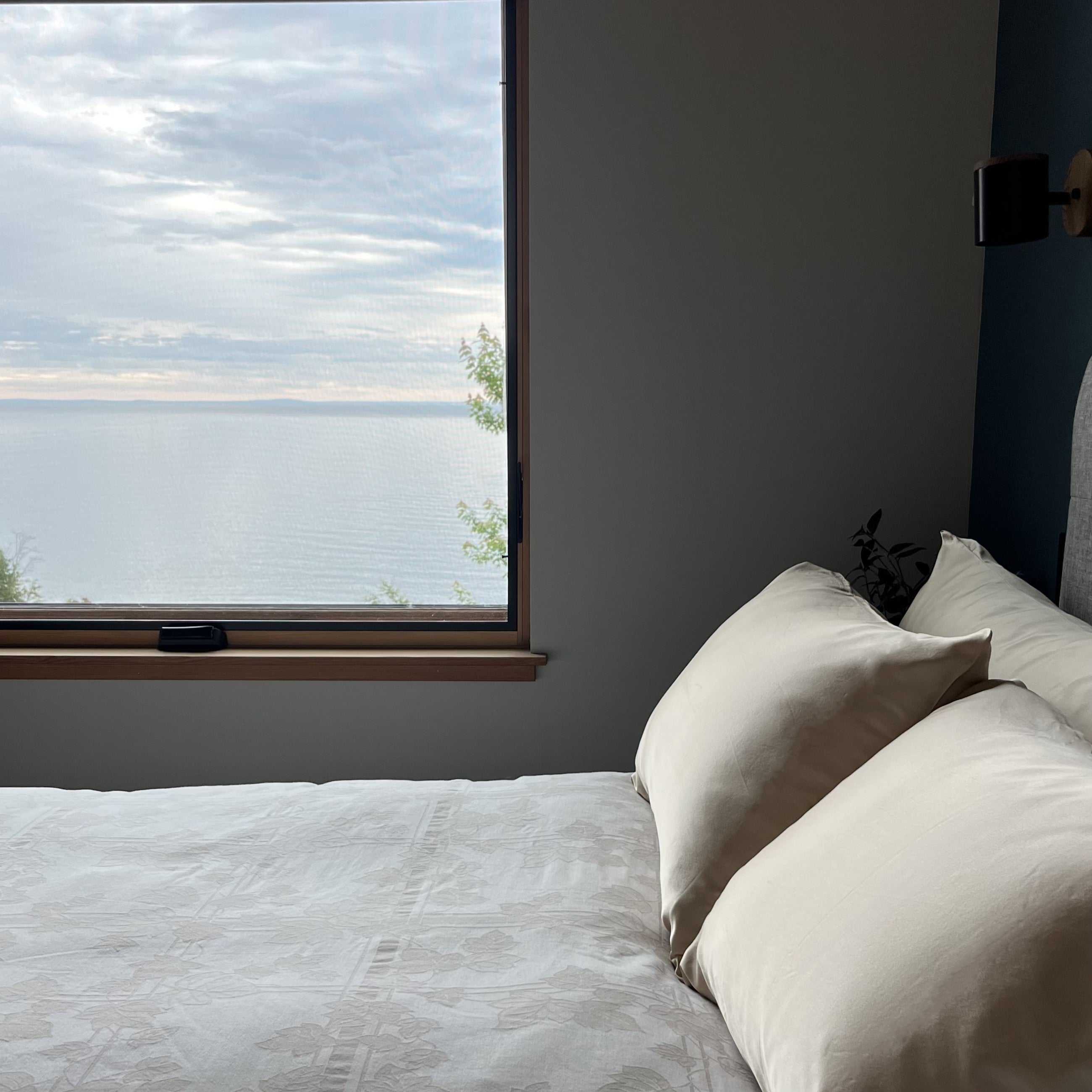 Gold, Standard Sized, 1 Case