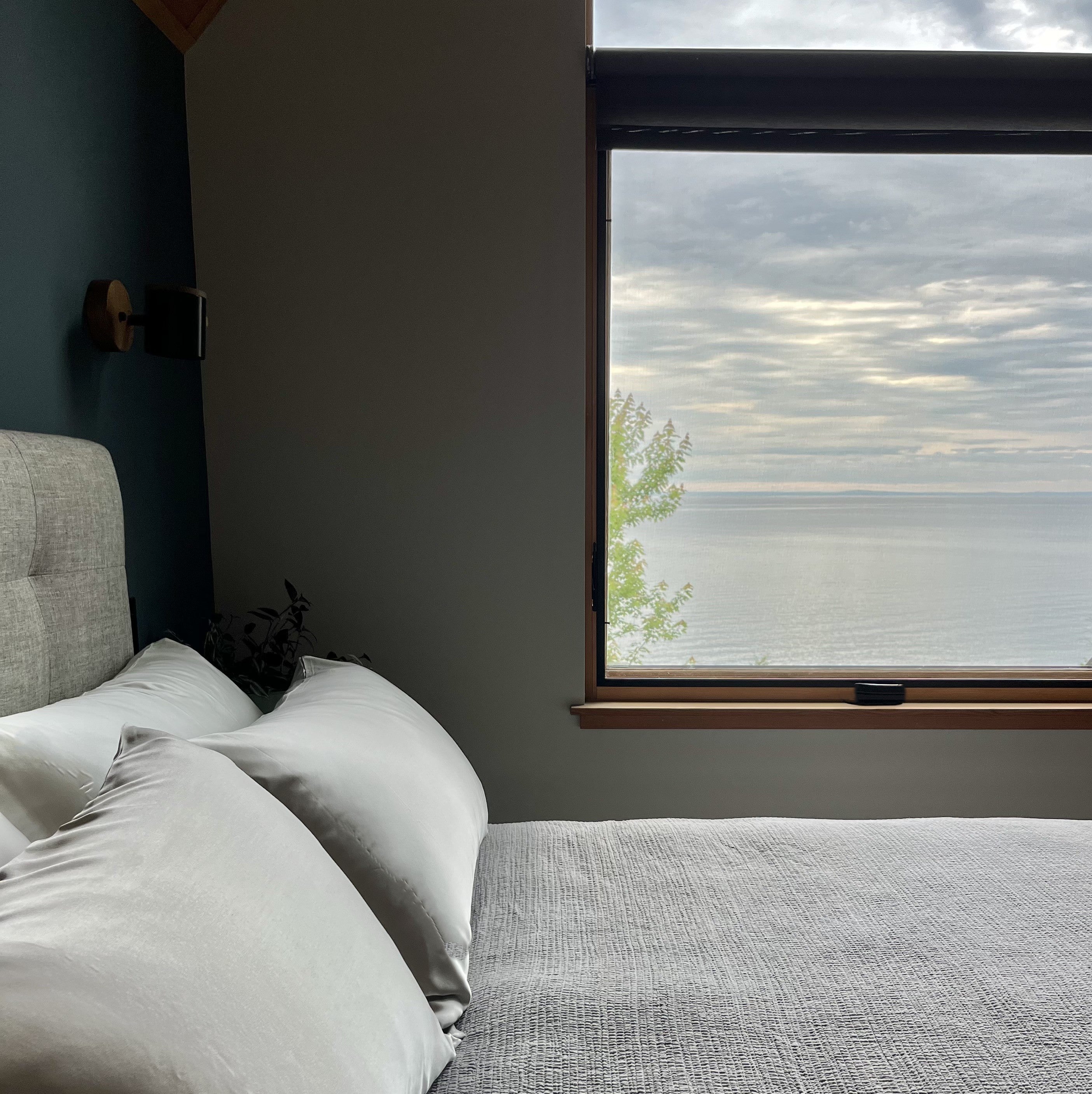 Light Gray, Queen Sized, 1 Case