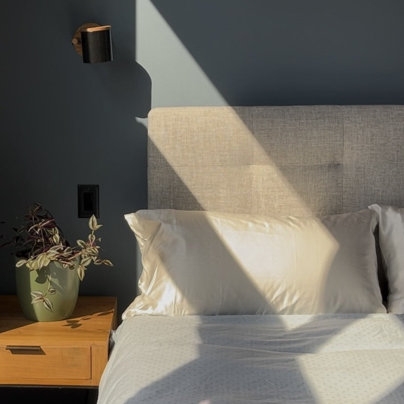 Ivory White, King Sized, 2 Cases